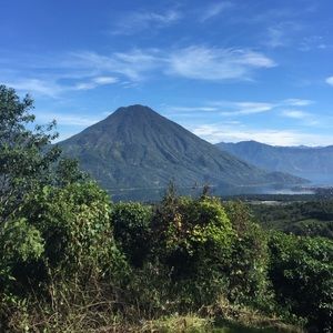 Meet your Posher, Deon